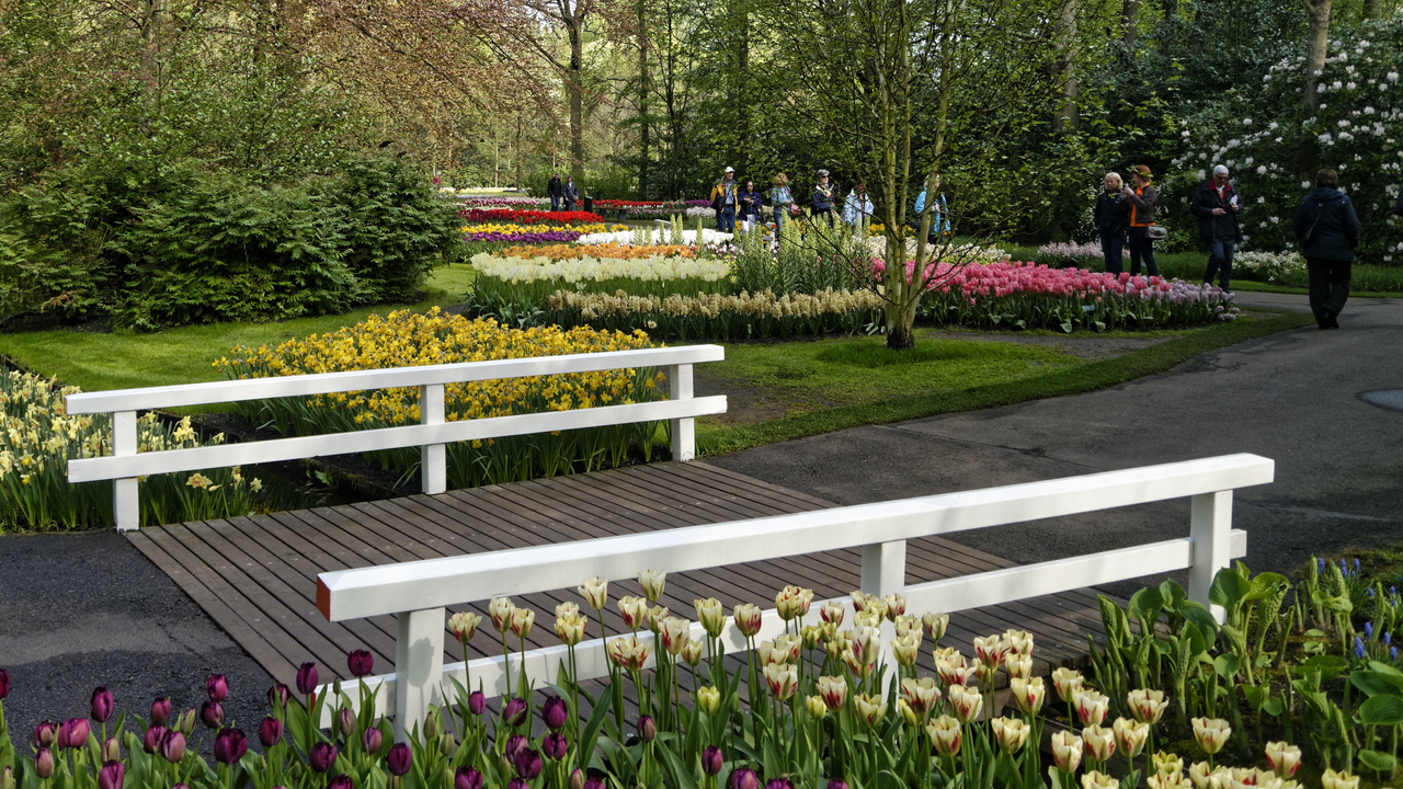 20140423 102620 Keukenhof Gardens, Lisse, South Holland, Netherlands